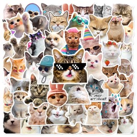 Pack of 50 Cat Expressions Stickers for Laptop Water Bottle Luggage Snowboard Bicycle Skateboard Stickers for Children Teens Adults Cartoon Stickers