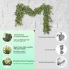 DearHouse Artificial Eucalyptus Wreath Set, 4 Pieces, 1.8 m Vine