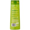 Garnier Fructis Normal Strength & Shine Shampoo for Normal Hair,