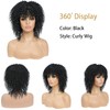 Fallsea Black Afro Curly Wigs For Black Women Short Kinky