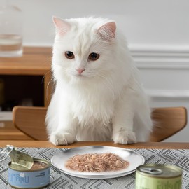 UOCAI Pack of 2 Flat Stainless Steel Cat Bowls, 14 cm Cat Feeding Bowl for Cats with Wide Whiskers, Cat Plate, Feeding Bowl, Flat Cat Bowls, Drop-Proof for Small Dogs, Cats