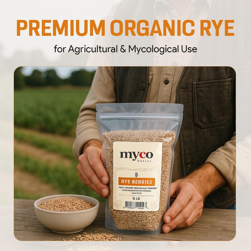 Rye Berries for Mushroom Spawn - Organic, Triple Washed Rye