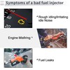 X AUTOHAUX 1 Pc No.0280155917 Fuel Injector for Ford Crown