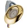 Delta RP34355CB Showerhead