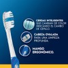 Oral Cepillo Dientes Indicator Cerdas Suaves Uds