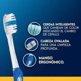 Oral Cepillo Dientes Indicator Cerdas Suaves Uds
