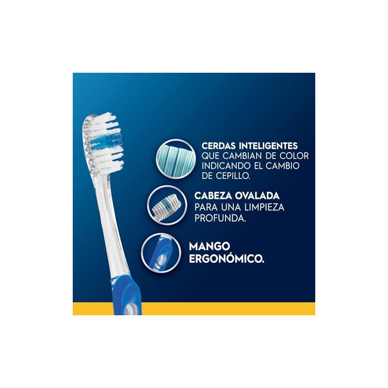Oral Cepillo Dientes Indicator Cerdas Suaves Uds