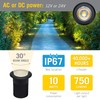 Armacost Lighting 10W Inground Well LED Landscape Light - Soft