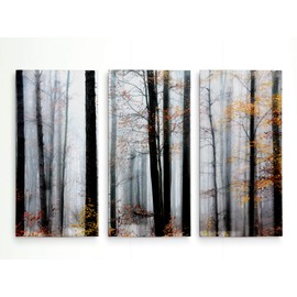 Renditions Gallery Daylight Enraptured 3 Piece Nature Forest Lanscape Theme Wall Art for Home, Office, Bedroom 16"x32"x3 Panels (15852-3248-3P)