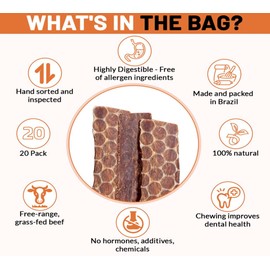 PetSamba 6” Flat Beef Jerky Dog Treats – 10 Pack, Natural Single-Ingredient, Grass-Fed, High-Protein, Low-Odor Chew for Dogs, Rawhide Alternative