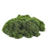 Artificial Green Moss for Crafts, 5.3 oz, Preserved Faux Moss