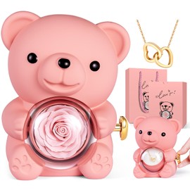 Aloskart Eternal Rose Bear, Rose Box with Chain, Eternal Roses Gift Box, Birthday Gift for Women, Anniversary Gift, for Girlfriend, Wife, Mother, Friend (Pink)