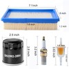 Roykaw Club Car DS Tune Up Kit for 1992-up Gas