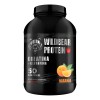 Creatina Monohidratada Wild Bear Sabor Naranja en Polvo 1kg 50 Porciones