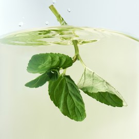 Osulloc [오설록]페퍼민트 브리즈 10입 (원산지:상세설명참조) [Osulloc] Peppermint Breeze 10 Sachets (Origin: Refer to detailed description)