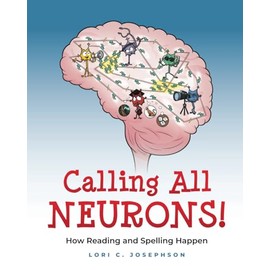 Calling All Neurons!: How Reading and Spelling Happen