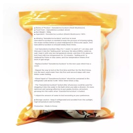 Korean Ganoderma lucidum, Reishi Mushroom Sliced 500g (17.6 oz) fresh Mushroom