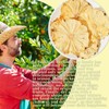 Dried Pineapple Slices, Dehydrated Pineapple Slices for Cocktails Decoration/Fruit Tea/Baking/Garland/Crafts,100%