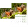 British Wildlife Calendar 2025 A4 Wall Calendar 2025 12 Month