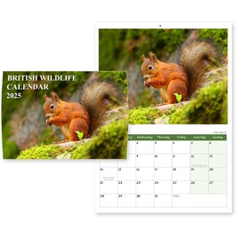 British Wildlife Calendar 2025 A4 Wall Calendar 2025 12 Month to View 2025 Calendar UK Papa Prints