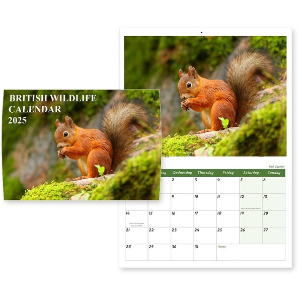 British Wildlife Calendar 2025 A4 Wall Calendar 2025 12 Month