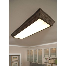Sea Gull Lighting 59132LE-15 Drop Lens Fluorescent Two-Light Ceiling Flush Mount Hanging Modern Light Fixture, White Finish