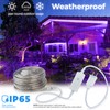 West Ivory 76LEDs, 10ft Purple Outside LED Rope Light, 8