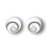 Silver Stud Earrings Shiva Eye Shell - 925 Sterling -