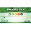 Organic Natural Pure Pine Needle Tea (2 Box(50 Tea Bag))-Individually