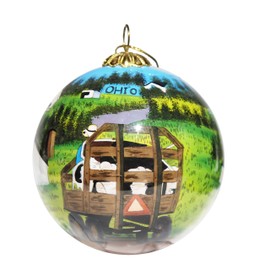 Blown Glass Christmas Ornament | Amish Farms Ohio | Hand Painted Inside | Original Art | Includes Gift Box