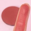 Neve Cosmetics The Rainbow | Oolong Rouge