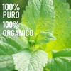 OLEUM VITAE. Aceite Esencial de Melisa. Melissa Officinalis. 100% Puro