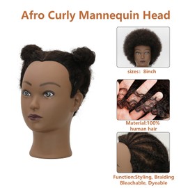 Afro Mannequin Head With 100% Human Hair 8-Inch Mannequin Head Can Be Bleached Or Dyed Suitable For Hair Styling Practice Cutting Practice Styling Display And Braiding Practice