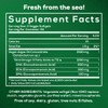 Fish Oil Alternative - Vegan Omega 3 Supplement Algae Oil