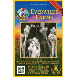 Everwilde Farms - 500 Pussytoes Native Wildflower Seeds - Gold Vault Jumbo Seed Packet