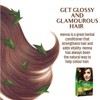 Dabur Henna Hair Color - Dark Brown, Dye , Ammonia