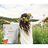 The Green Bear Detox Tea Natural Herbal Tea Detox Tea