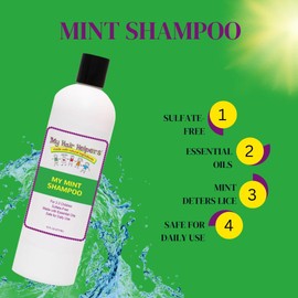 My Hair Helpers Anti Lice Prevention Shampoo, Peppermint, Neem, Rosemary, Daily Defense, Sulfate-Free, 16 Ounces, Works on 2-3 Kids