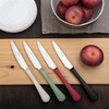 PINTINOX Set mit 12 Tischmessern Stresa Colour Schwarz, Edelstahl, rutschfester
