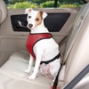Guardian Gear Polyester Ride Right Dog Car Harness, X-Small, Navy