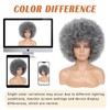 Afro Wigs for Black Women Gray Bouncy Fluffy Curly Big