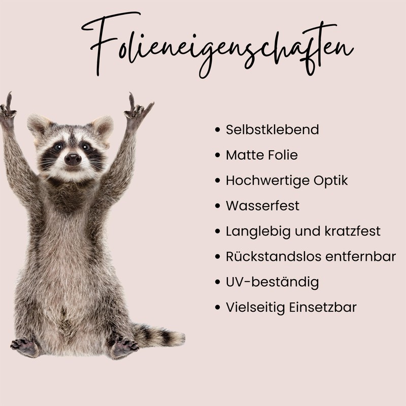 GRAZDesign Wall Tattoo Raccoon Funny Wall Sticker for Living Room