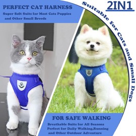 Anlitent Best No Pull Dog Harness and Lead Set for Walking, No Escape Puppy Vest Harnesses Set for Small Breed Pet Fully Adjustable with Reflective Safe (Large, Blue)