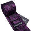 Barry.Wang Men's Silk Paisley Ties with Handkerchief Cufflink Tie Set