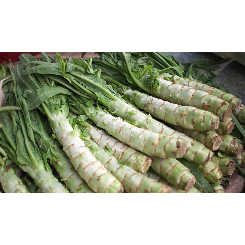 KIRA SEEDS - Seeds Asparagus Lettuce Celtuce - 65 Days
