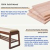 Aibiju Shoe Rack Bench with Cushion, 2 Tiers Wood Shoe