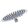 AFA Stainless 8" Rain Shower Head with Extension Arm