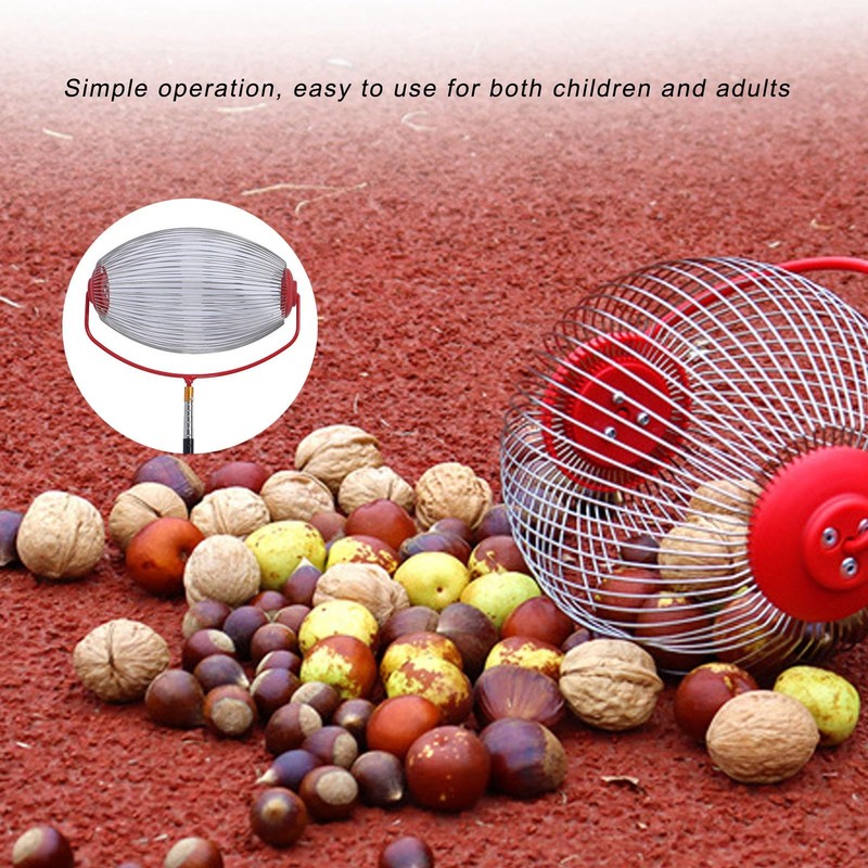 Efficient Fruit Picking Nut Gatherer with Comfortable Handle Design, Walnut