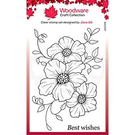 Woodware JGS725 Clear Singles Petal Trio Clear Photopolymer Stamp Sticks to Acrylic Blocks Decorative Accessories for Cards Journals DIY Crafts/Art Clear 4 x 6 Inches