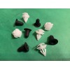 Volkswagen 2017-23 Volkswagen Tiguan Wheel Opening Molding Grommet Clips 10PC